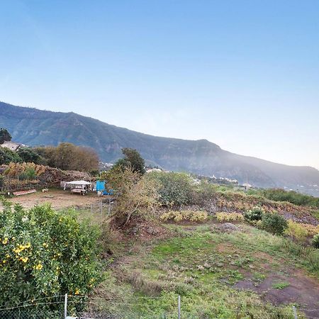 Vila Casita Rural La Pinera Los Realejos Exteriér fotografie