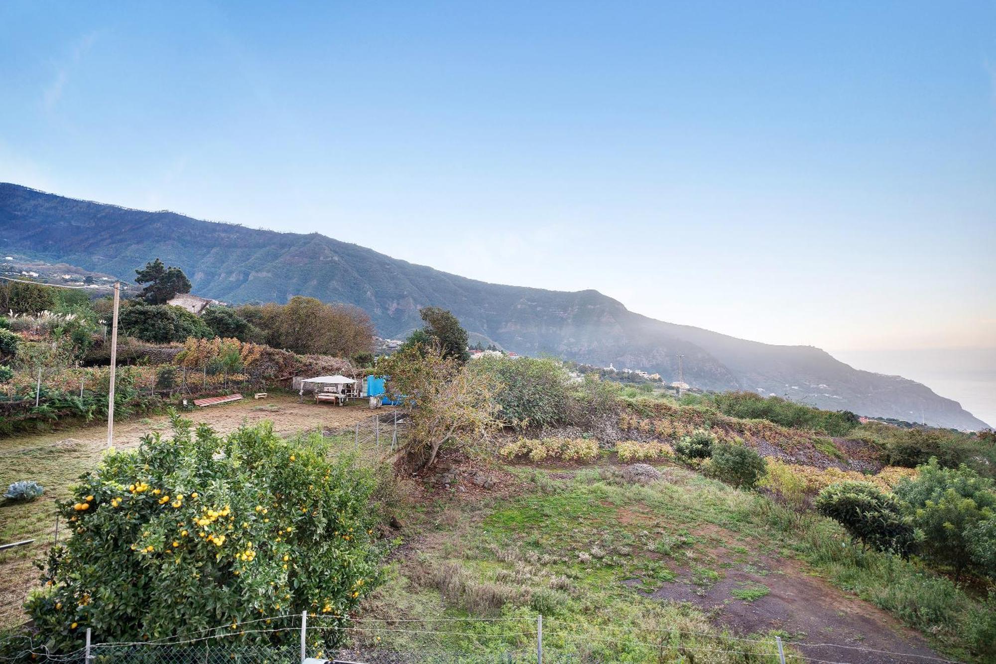Vila Casita Rural La Pinera Los Realejos Exteriér fotografie
